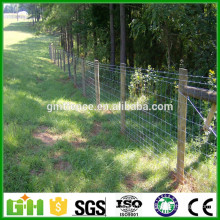 Фабричное снабжение пастбищным забором / полевым тканым проволочным забором для крупного рогатого скота / скотом
